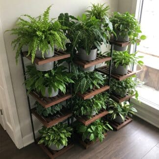 AOS Premium Multi-Tier Indoor Plant Rack in Pune