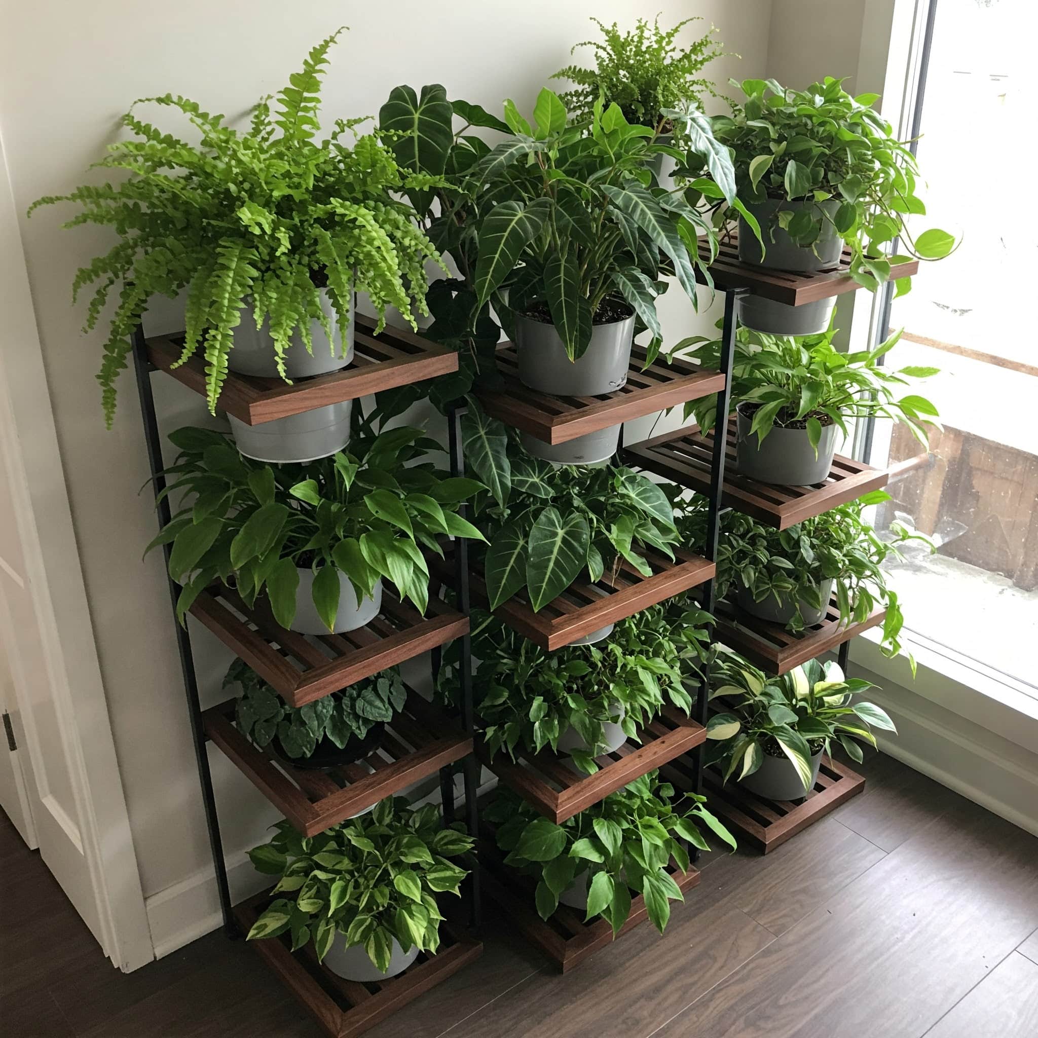 AOS Premium Multi-Tier Indoor Plant Rack in Pune